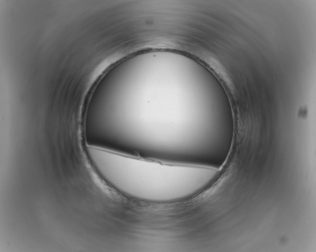 X0000092260845200709141024