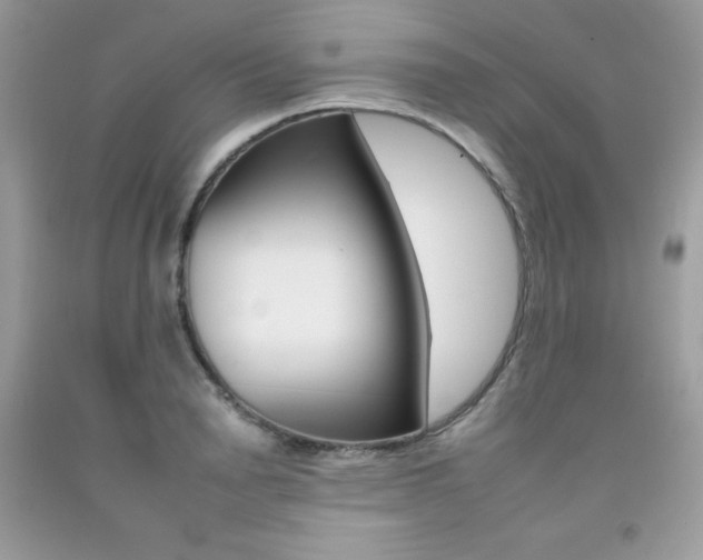X0000092260846200709141024