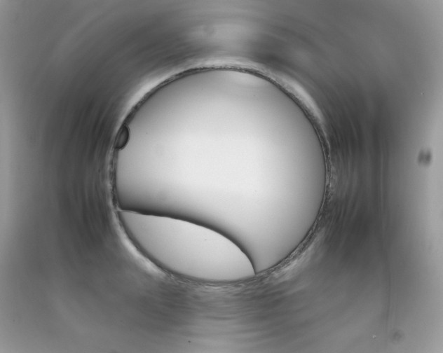 X0000092260847200709141024