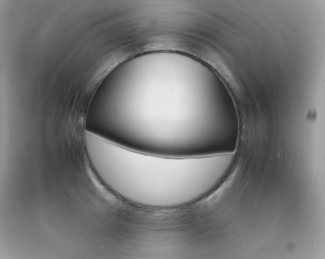 X0000092260849200709141024
