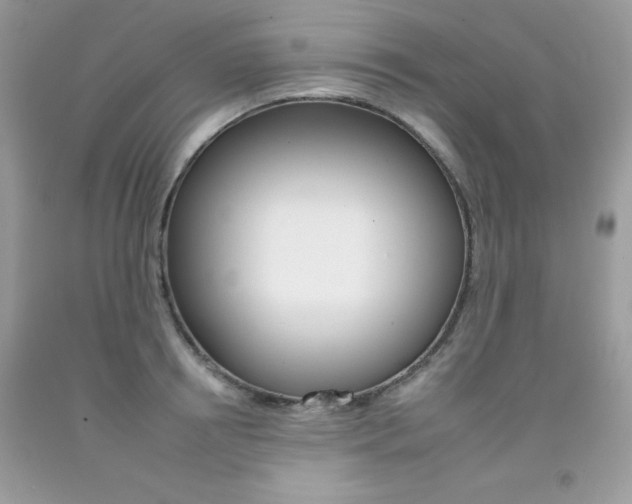 X0000092260850200709141024