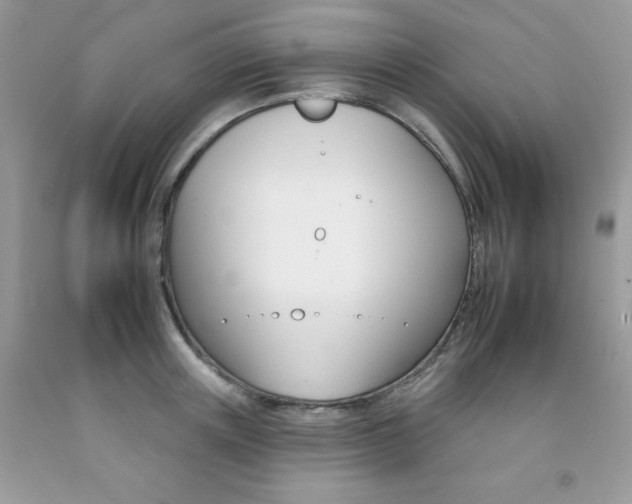 X0000092260851200709141024