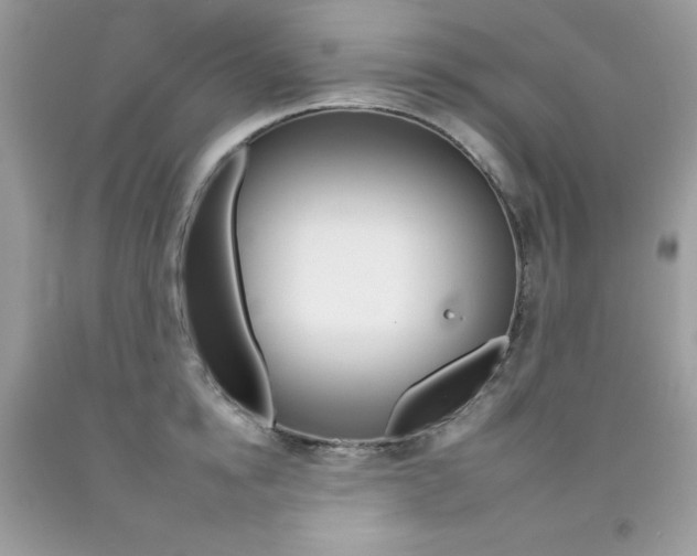 X0000092260854200709141024