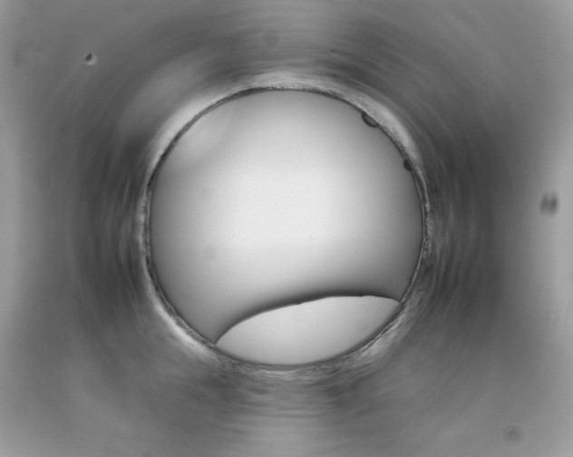 X0000092260855200709141024