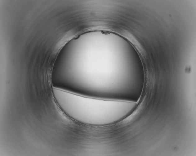 X0000092260857200709141024