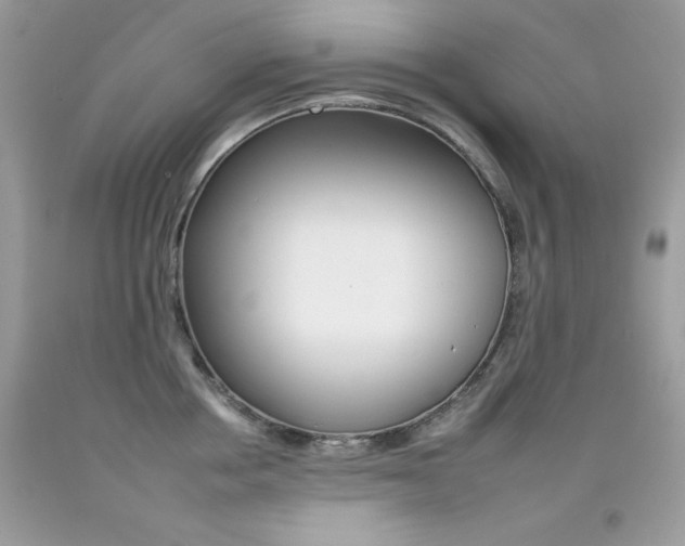 X0000092260858200709141024