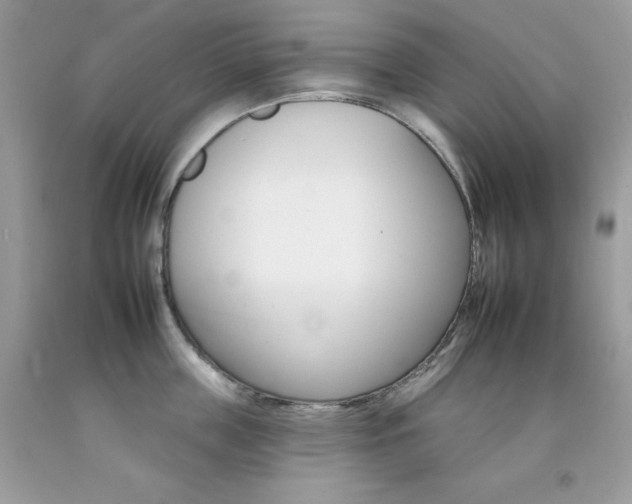 X0000092260859200709141024