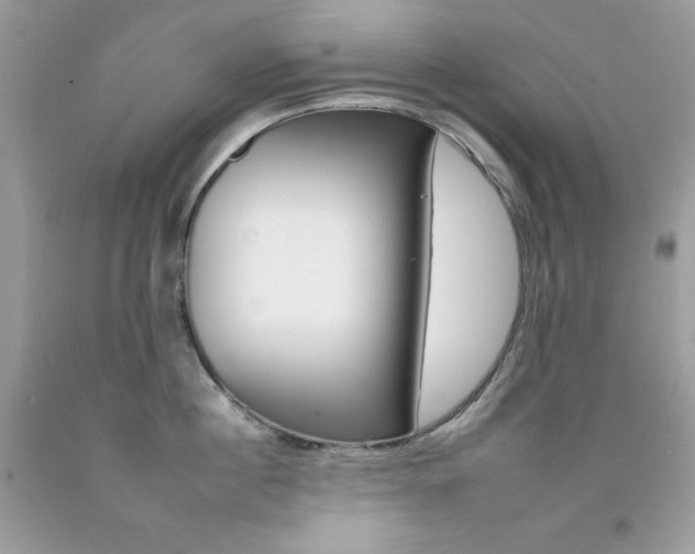 X0000092260860200709141024