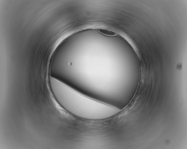 X0000092260861200709141024
