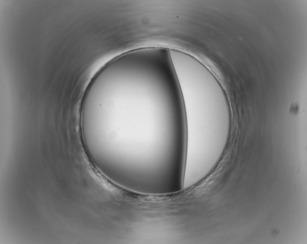 X0000092260862200709141024