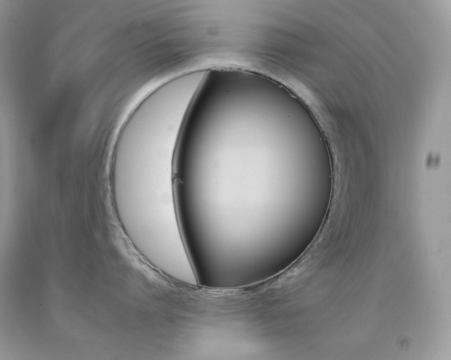 X0000092260864200709141024