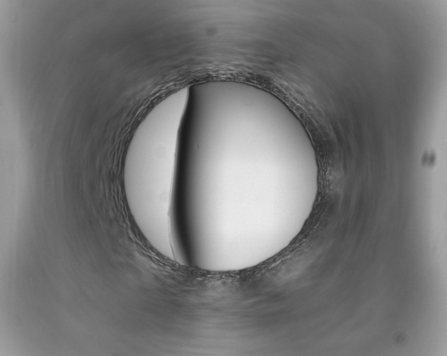 X0000092260865200709141024