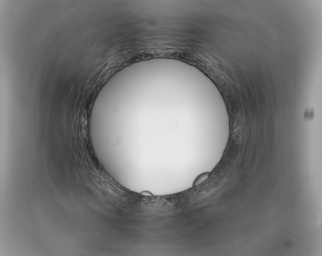X0000092260866200709141024