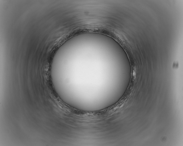 X0000092260867200709141024