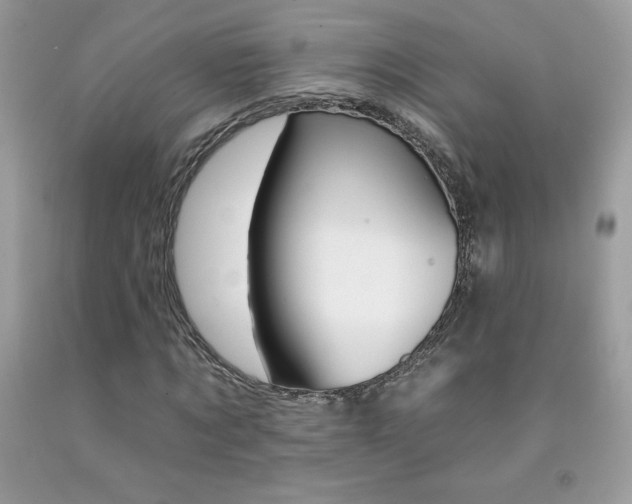 X0000092260869200709141024