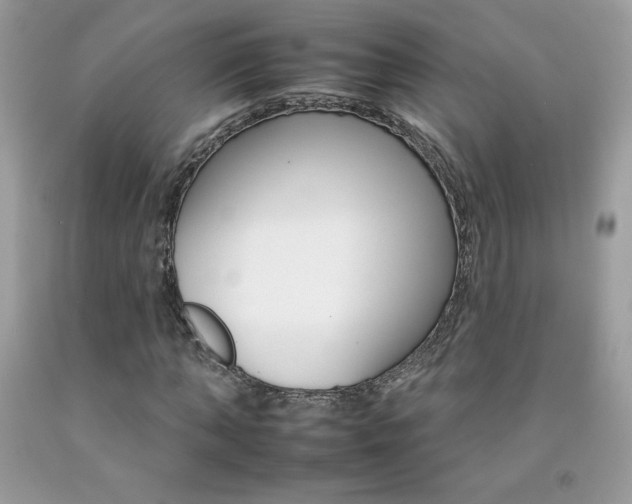 X0000092260870200709141024