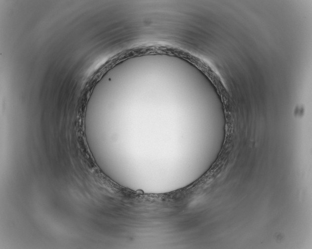 X0000092260871200709141024