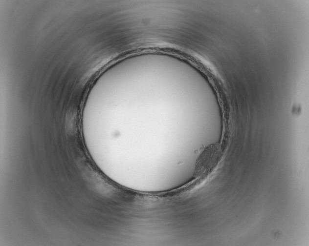 X0000092260873200709141024
