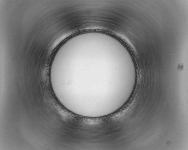 X0000092260874200709141024