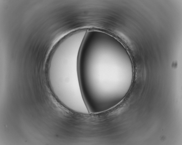 X0000092260876200709141024