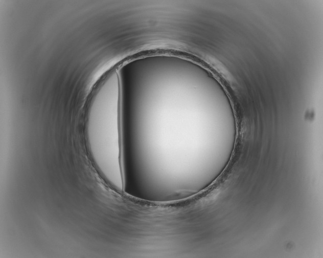 X0000092260877200709141024