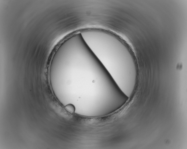 X0000092260879200709141024