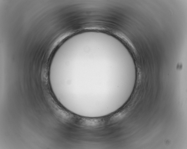 X0000092260882200709141024