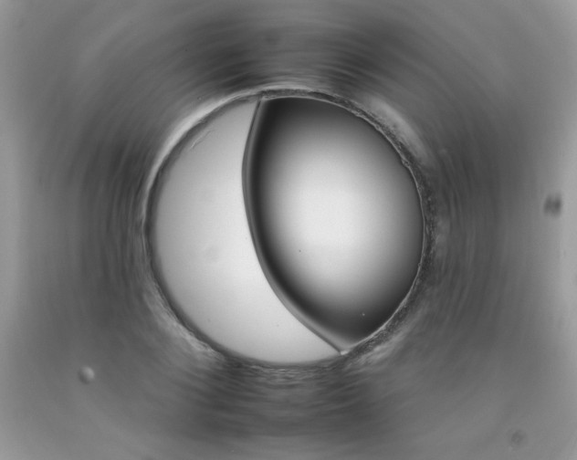 X0000092260884200709141024