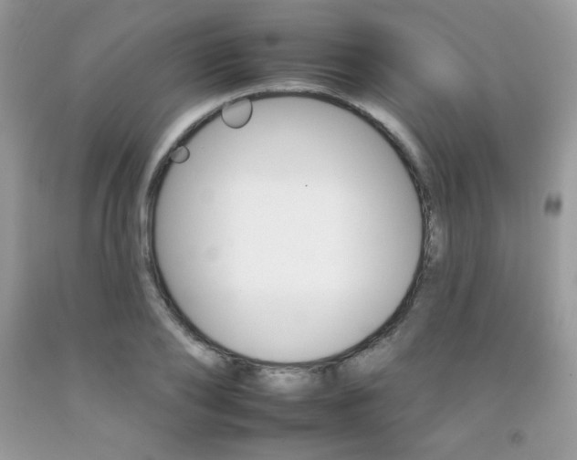 X0000092260886200709141024