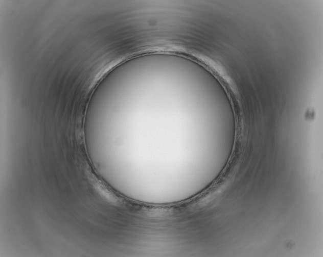 X0000092260889200709141024