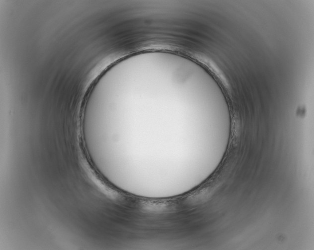 X0000092260890200709141024