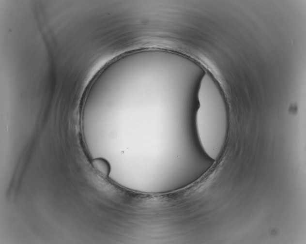 X0000092260891200709141024