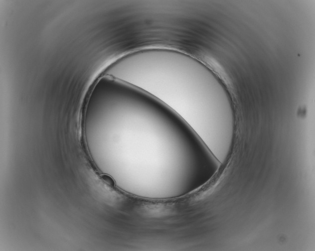 X0000092260892200709141024