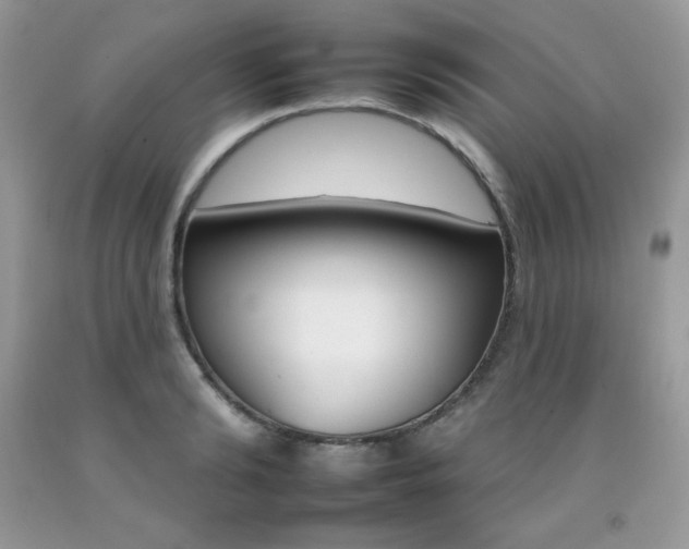 X0000092260894200709141024