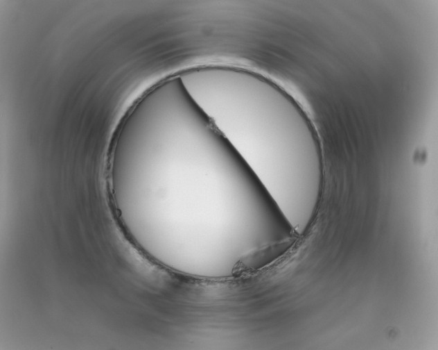 X0000092260895200709141024