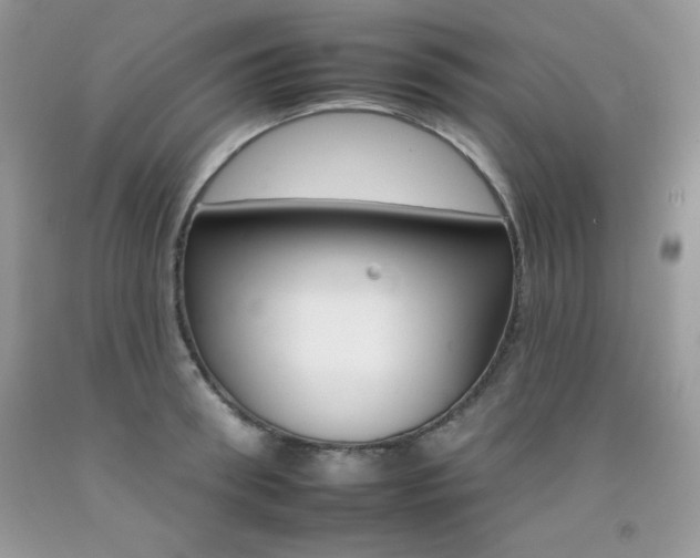 X0000092260898200709141023