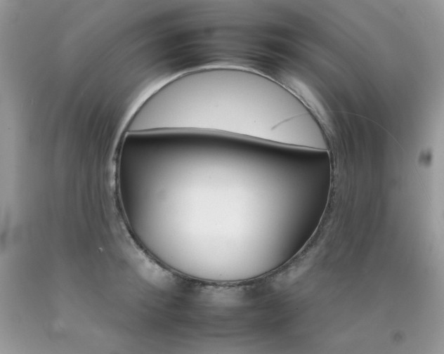 X0000092260900200709141023