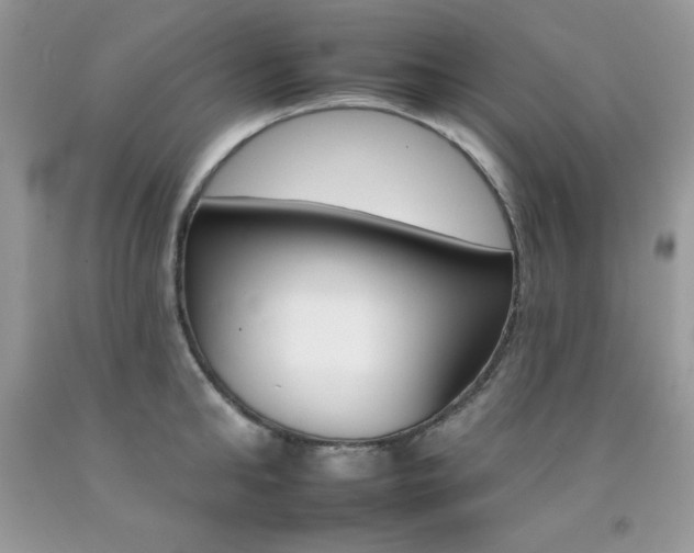 X0000092260902200709141023