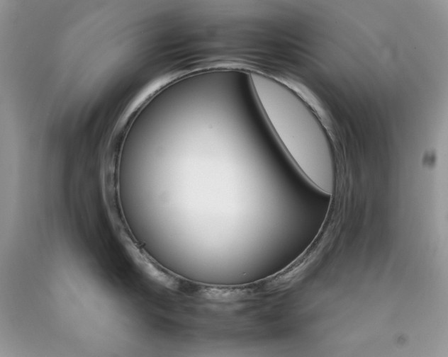X0000092260910200709141023