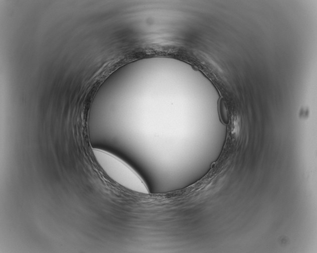 X0000092260915200709141023