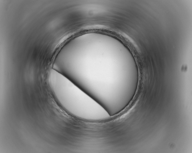 X0000092260921200709141023