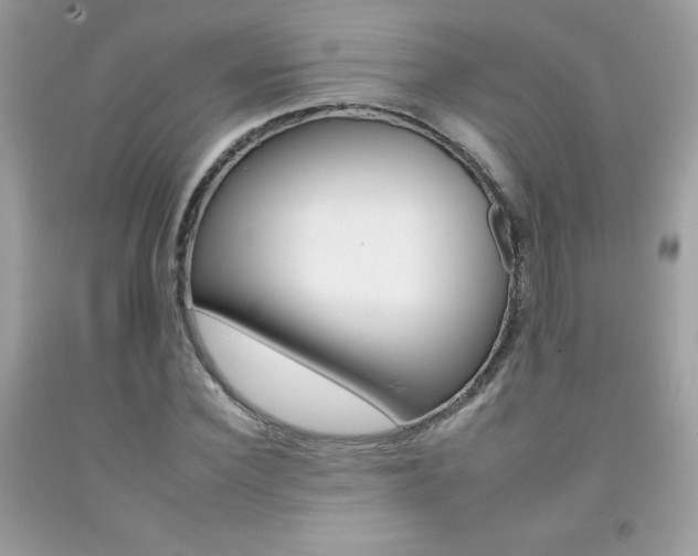 X0000092260924200709141023