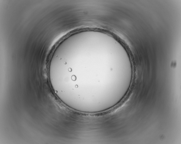 X0000092260925200709141023