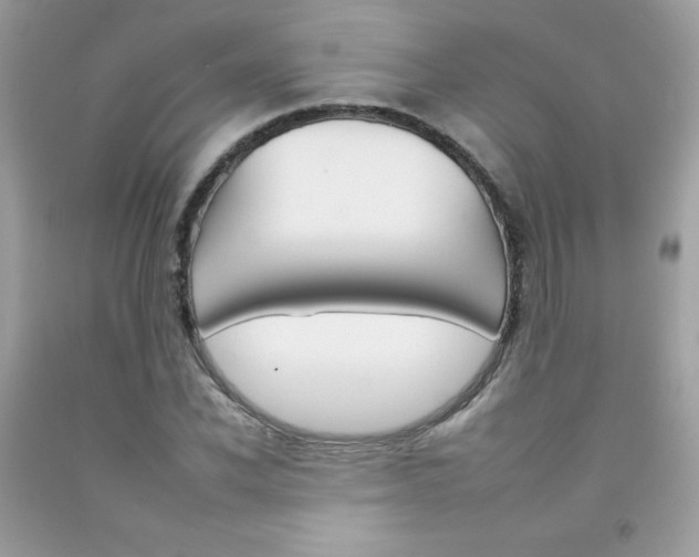 X0000092260926200709141023