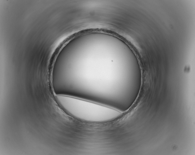 X0000092260927200709141023