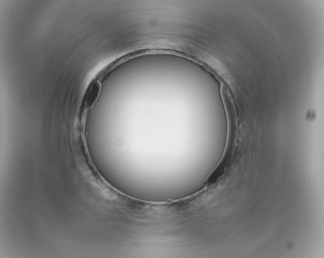 X0000092260928200709141023