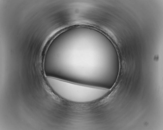 X0000092260931200709141023