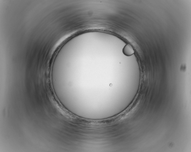 X0000092260933200709141023