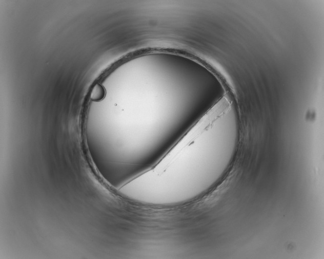 X0000092260935200709141023