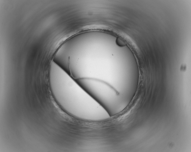 X0000092260937200709141023